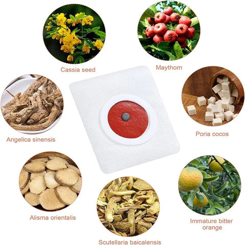 Slim Patch (90) parches DETOX