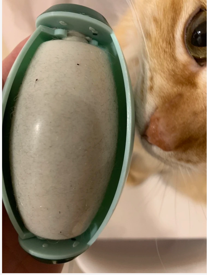 Quita pelusas profesional reutilizable y lavable