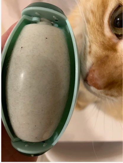 Quita pelusas profesional reutilizable y lavable